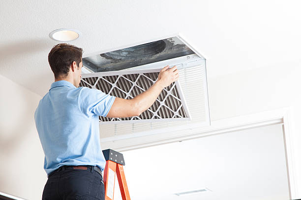 Best Heating Repair Services  in Forest View, IL